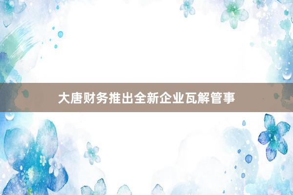 大唐财务推出全新企业瓦解管事