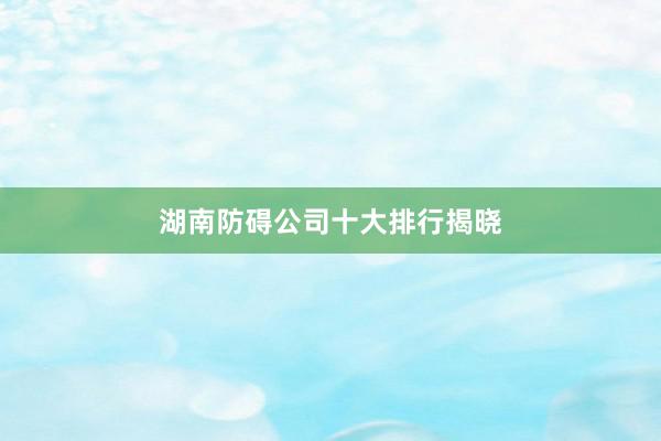 湖南防碍公司十大排行揭晓