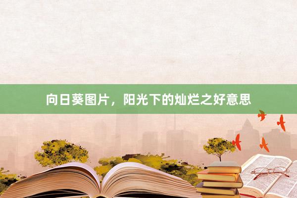 向日葵图片，阳光下的灿烂之好意思